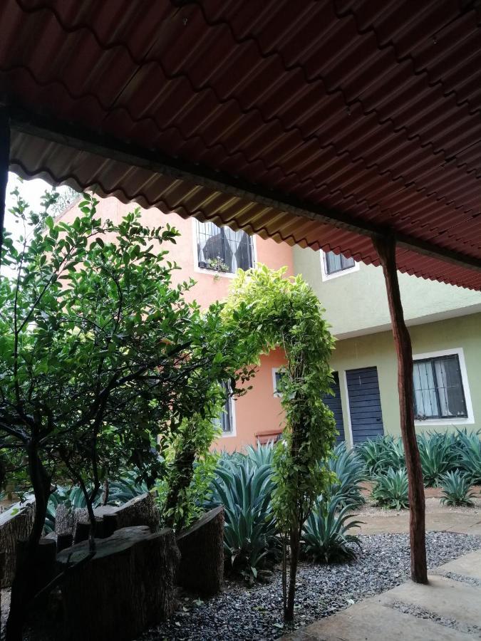ホテル Tu Casa Oaxaca... エクステリア 写真