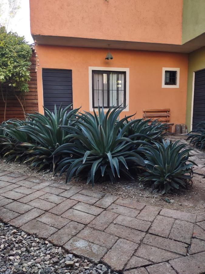 ホテル Tu Casa Oaxaca... エクステリア 写真