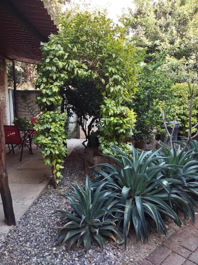ホテル Tu Casa Oaxaca... エクステリア 写真