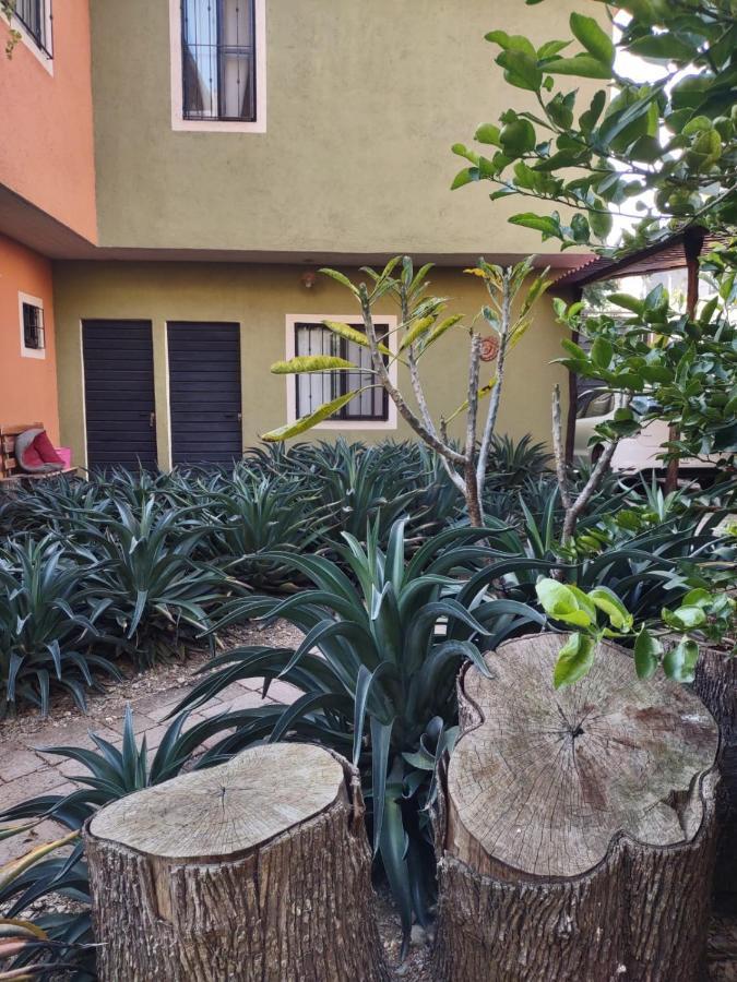 ホテル Tu Casa Oaxaca... エクステリア 写真