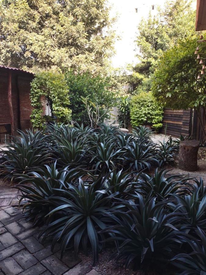 ホテル Tu Casa Oaxaca... エクステリア 写真