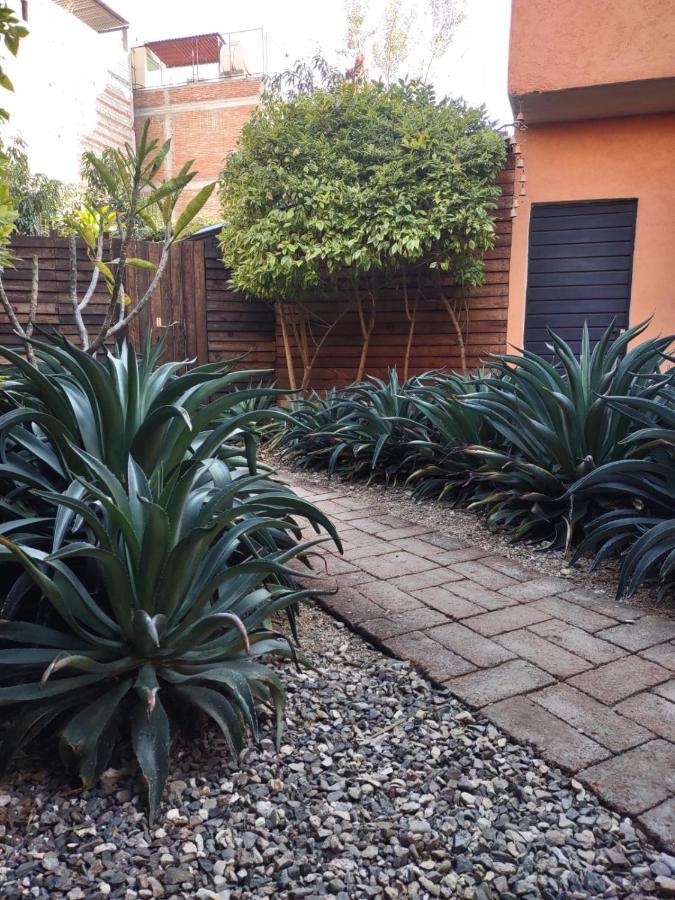 ホテル Tu Casa Oaxaca... エクステリア 写真