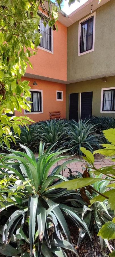 ホテル Tu Casa Oaxaca... エクステリア 写真
