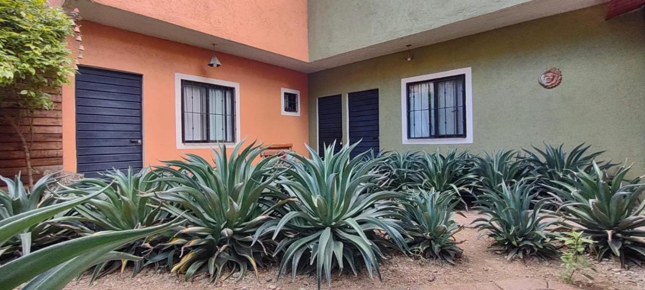 ホテル Tu Casa Oaxaca... エクステリア 写真